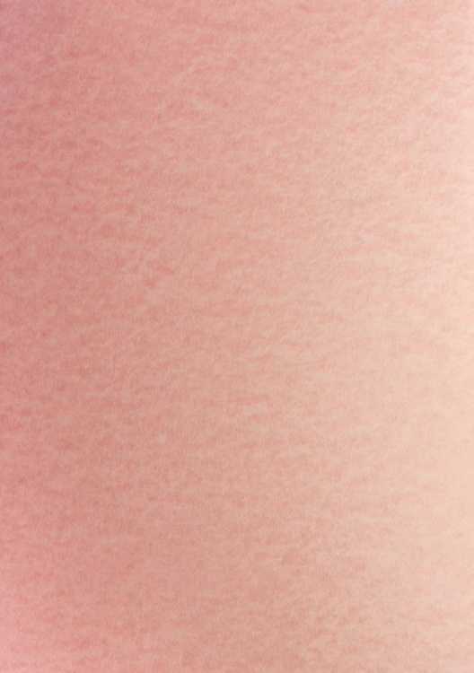 Parchment Paper 90gsm Pink Soho Paper